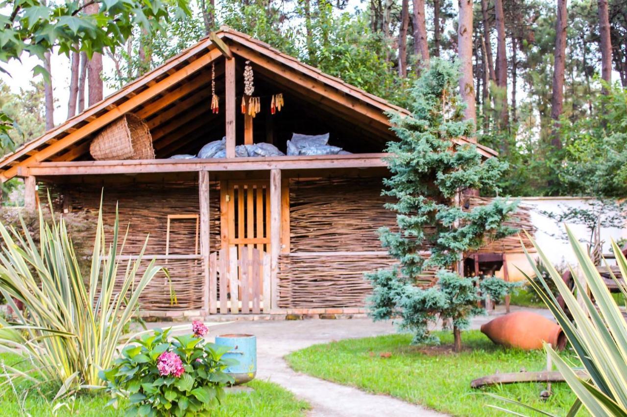 Kolkhida Resort & Spa Урекі Екстер'єр фото